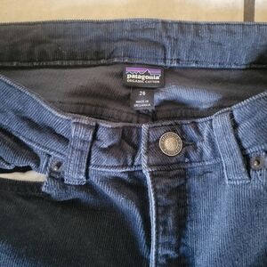 Patagonia Navy Corduroy Trousers
